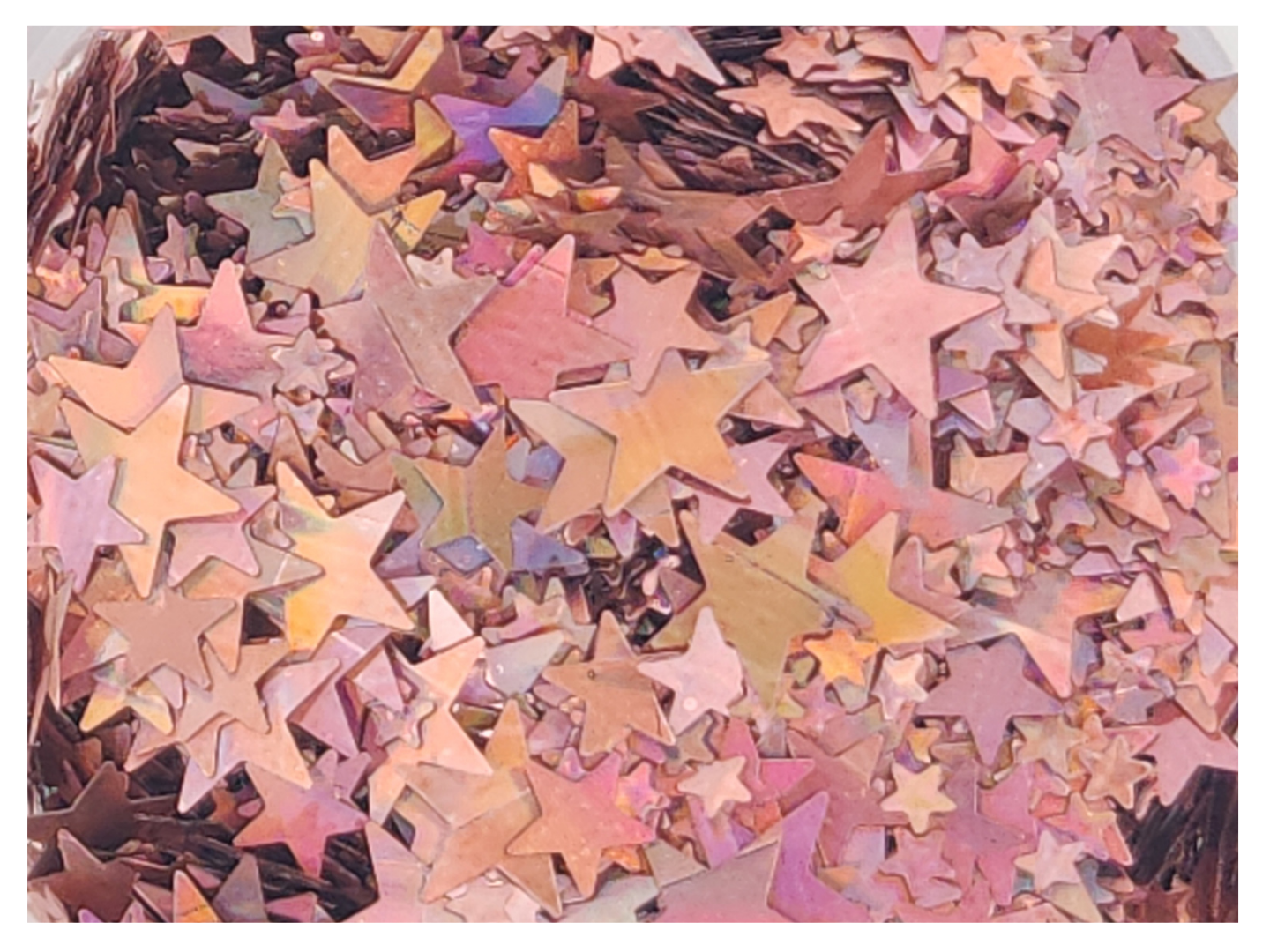 Stars - Rose