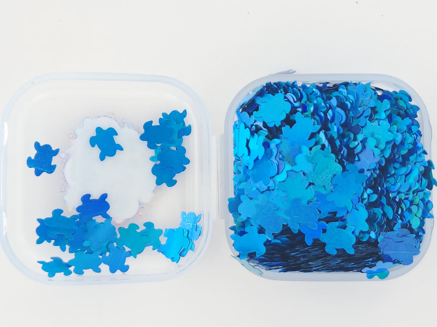 Turtle - Blue