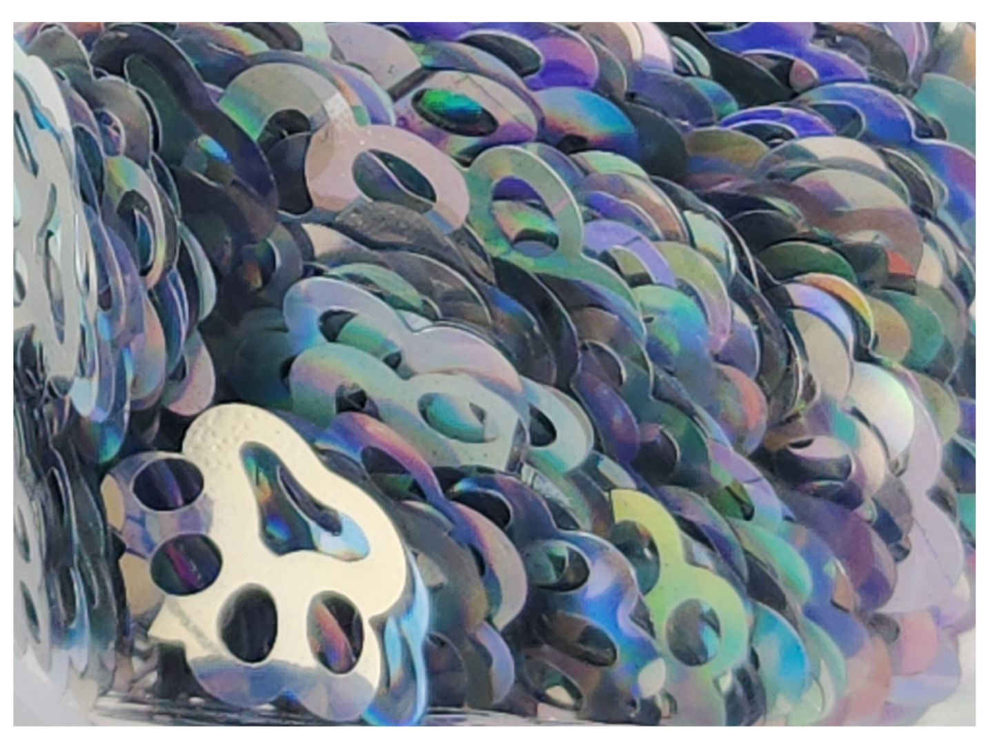 Paw Print - Holographic