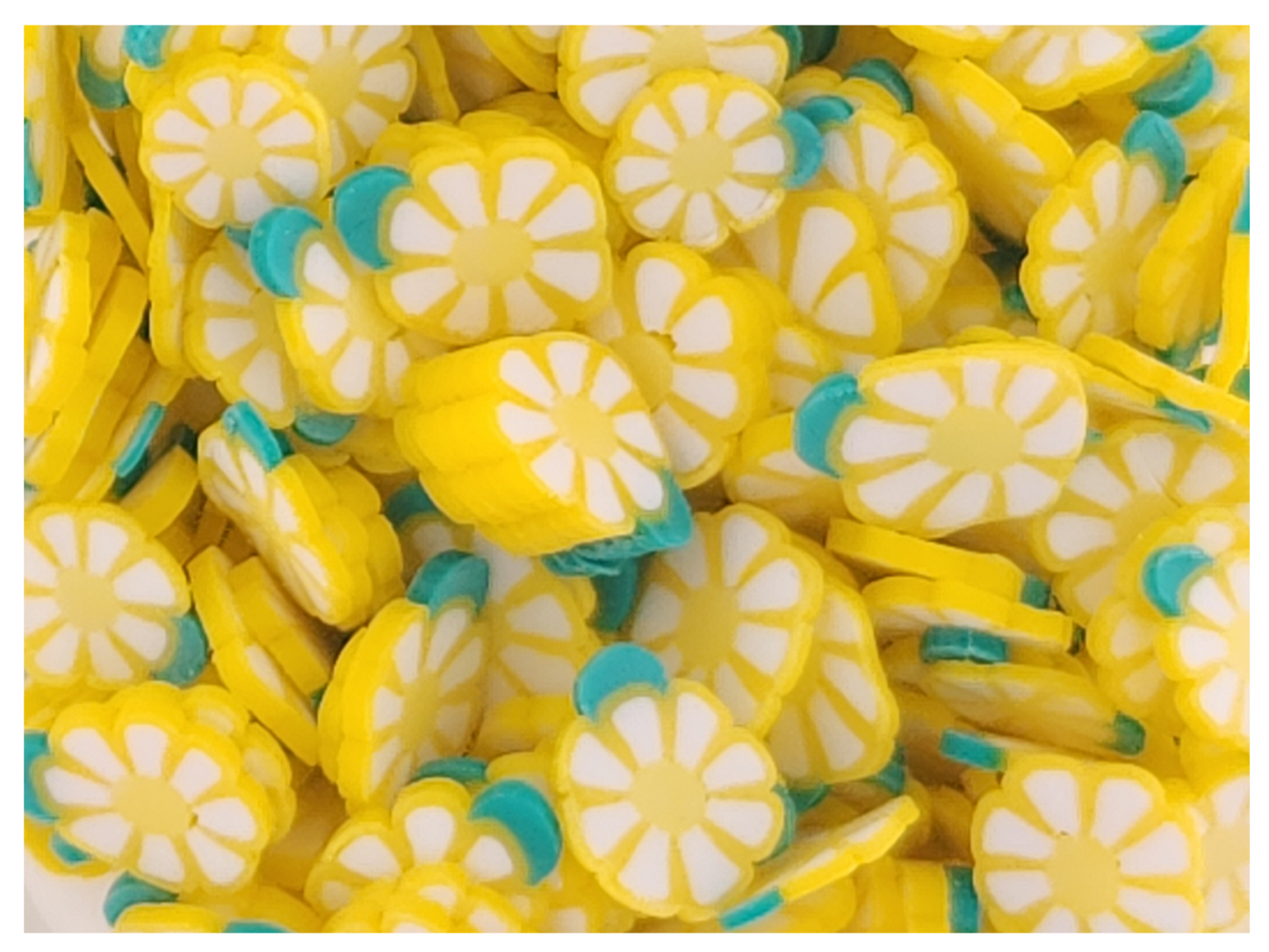 Flowers - Yellow