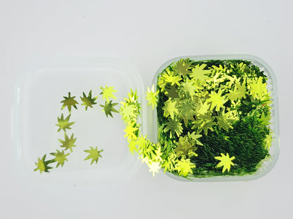 Leaves - Happy