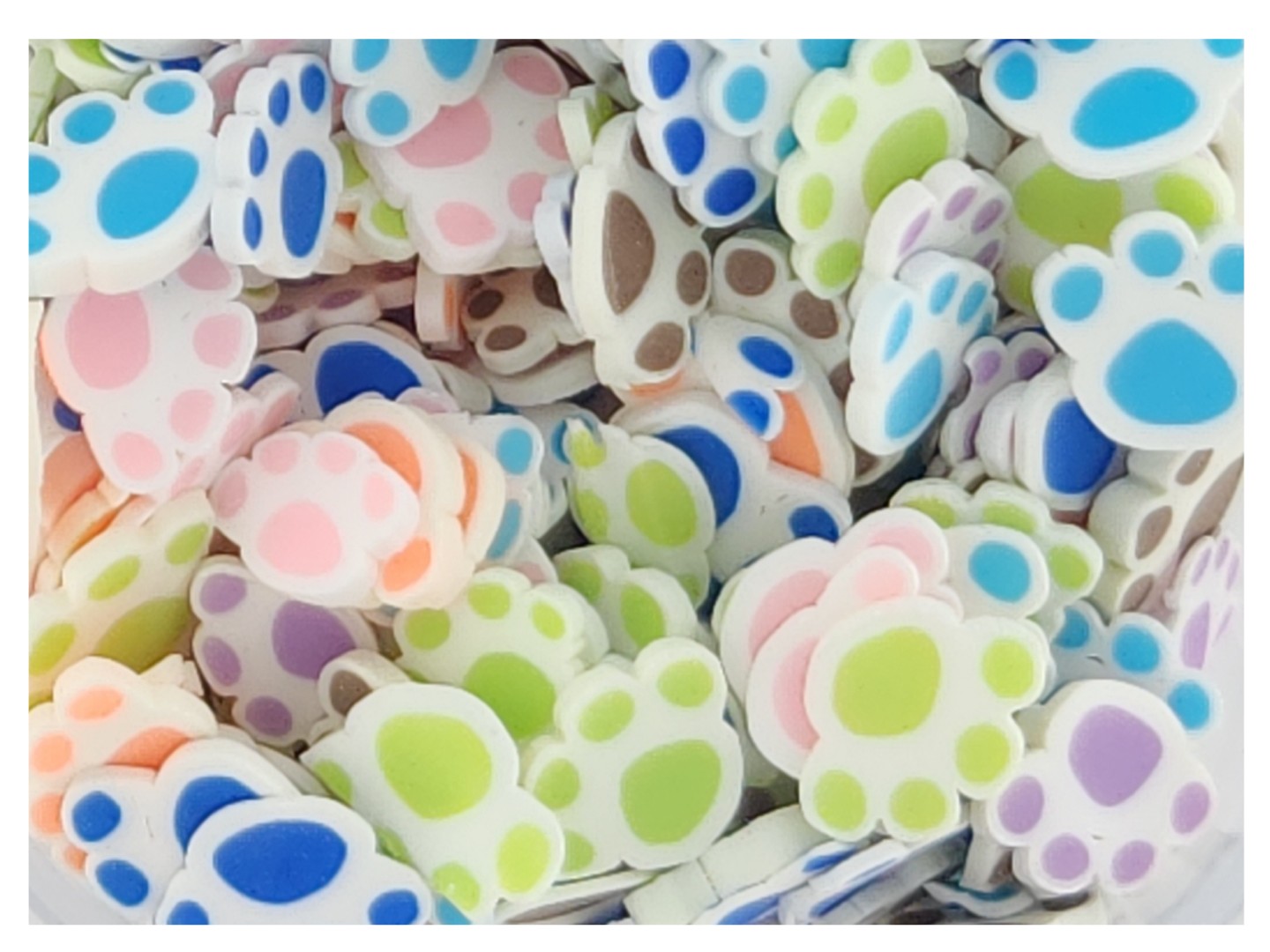 Paw Print - Colors