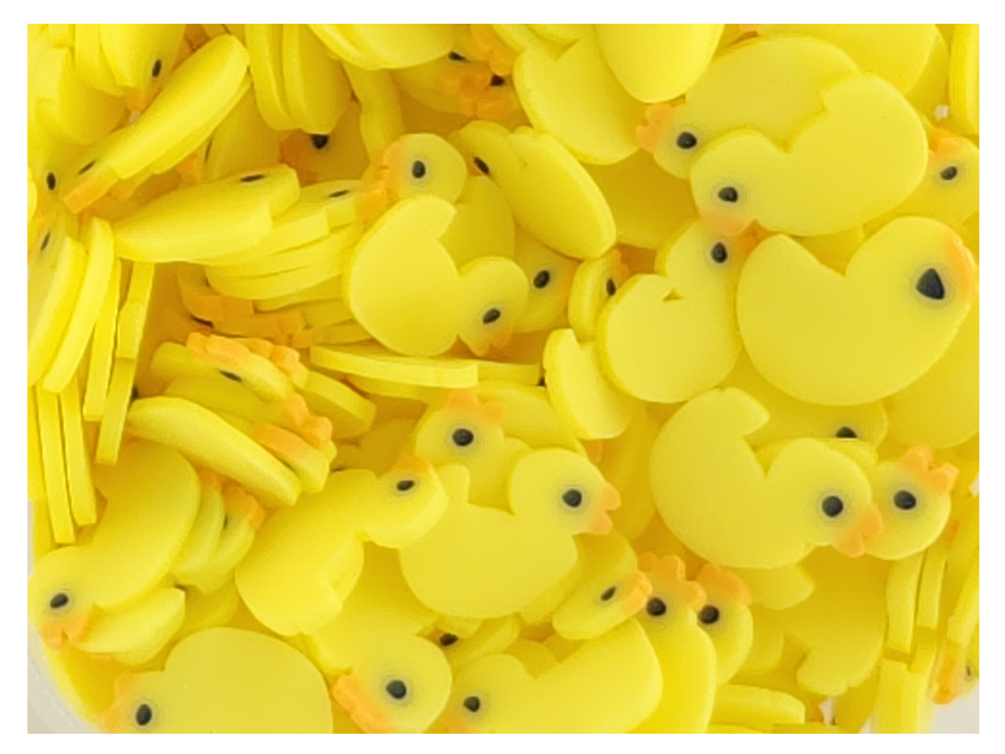 Ducks
