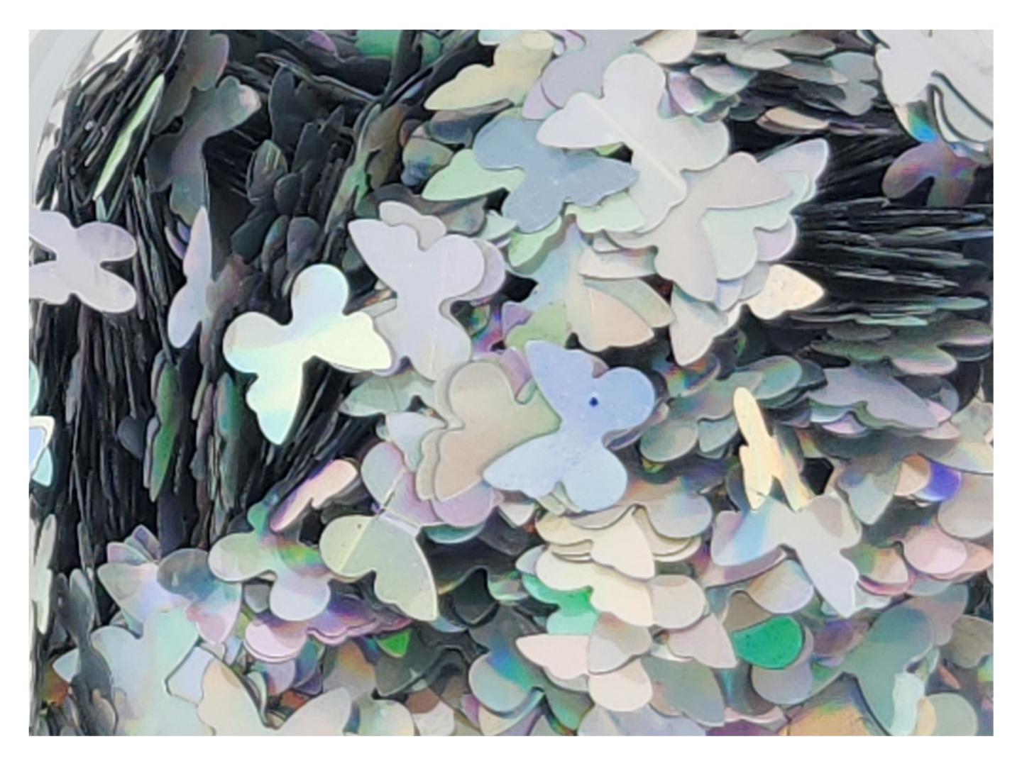 Butterflies - Holographic