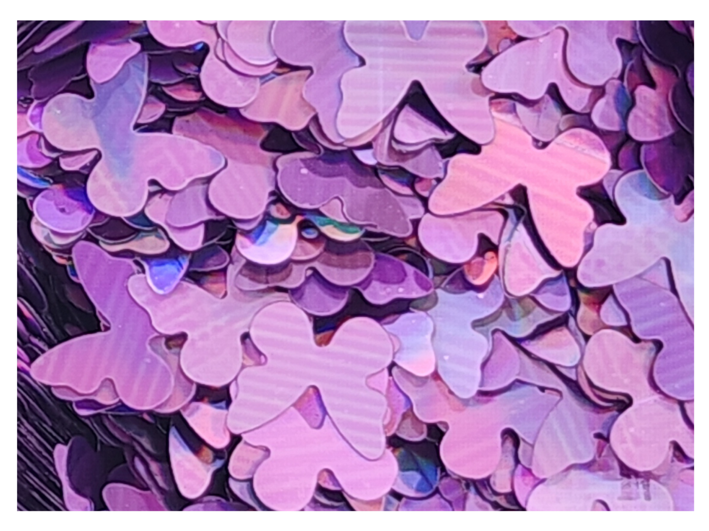 Butterflies - Holographic Purple