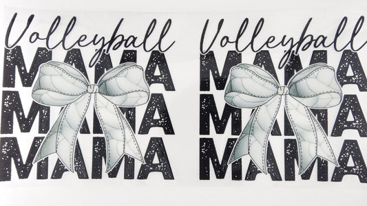 Volleyball 8