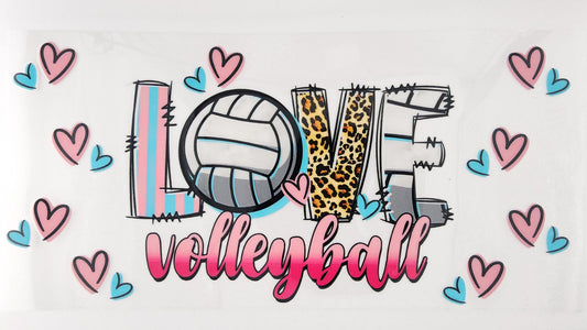 Volleyball 6