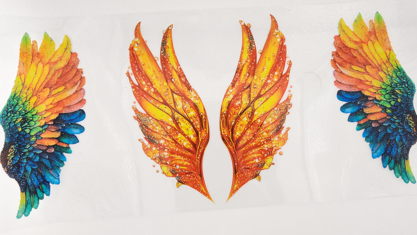 Wings 19